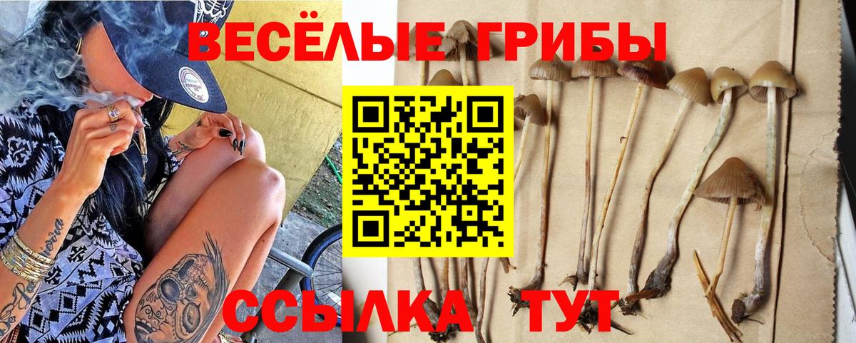 Псилоцибиновые грибы Magic Shrooms Семёнов