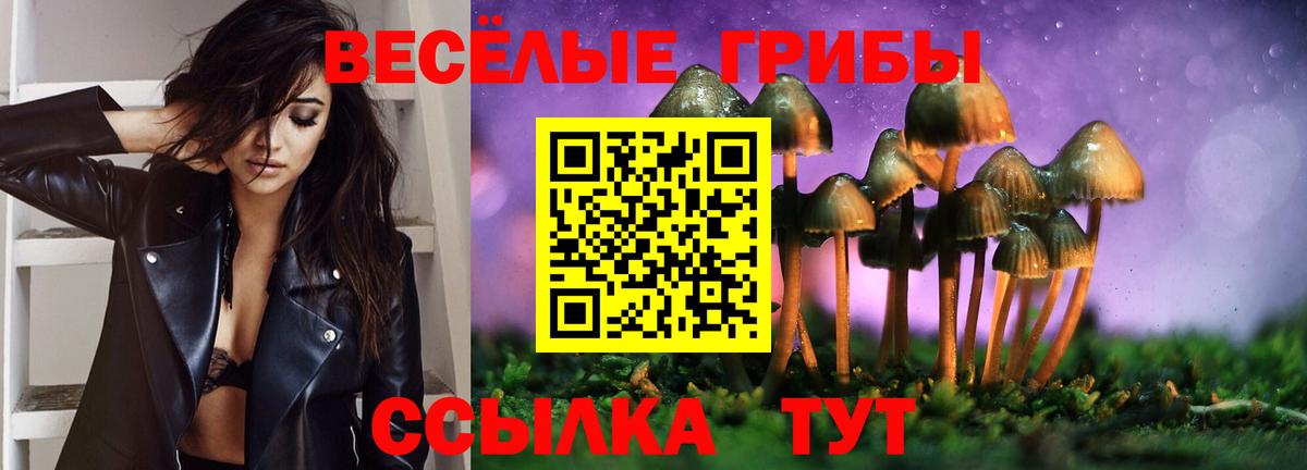 Псилоцибиновые грибы MAGIC MUSHROOMS  Вход с VPN  Семёнов  Галлюциногенные грибы ЛСД 